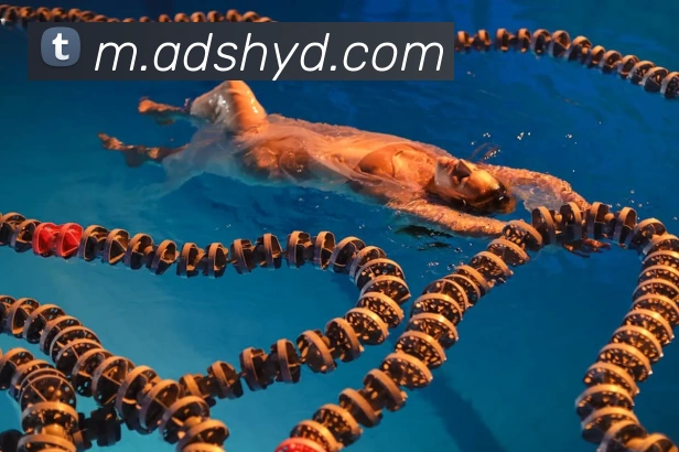 国际认证